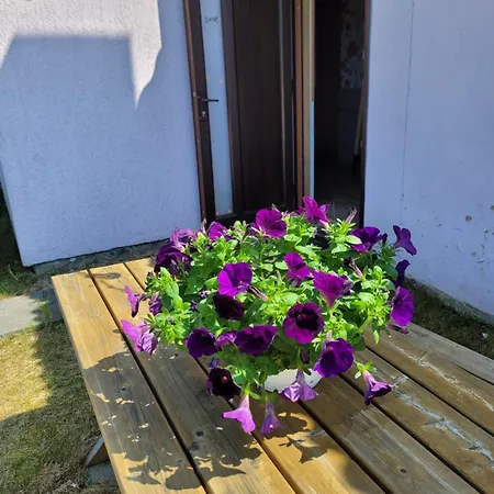 Casa vacanze Laci Staldzene Ventspils